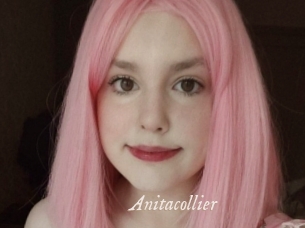 Anitacollier