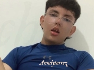 Anndytorrez