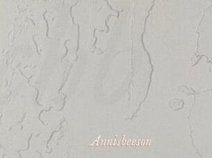 Annisbeeson