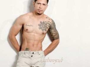 Anthonycub