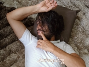 anthonyding Chobix 