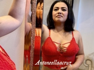 Antoneellaacruz