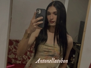 Antonellatobon