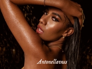 Antonellavoss