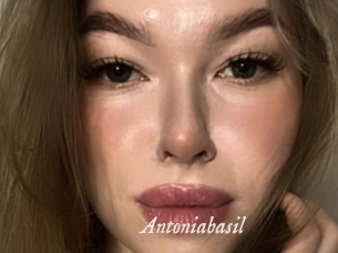 Antoniabasil