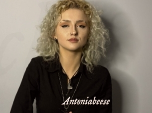 Antoniabeese