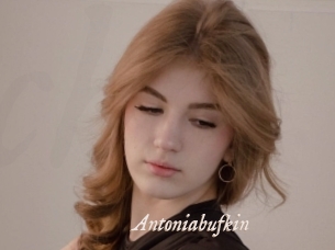Antoniabufkin