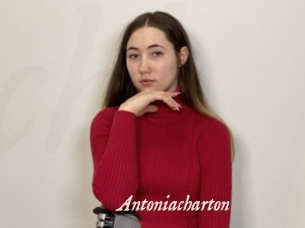 Antoniacharton