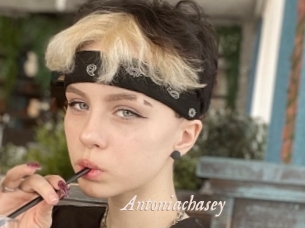 Antoniachasey