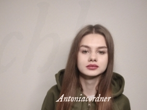 Antoniacordner