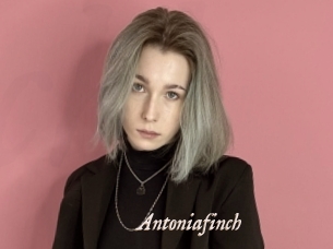 Antoniafinch