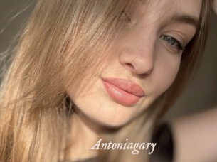 Antoniagary