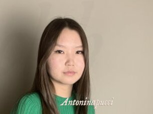 Antoninapucci
