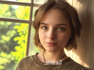aracall Chobix 