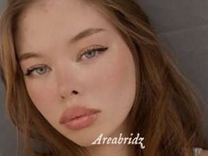 Areabridz