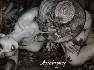 Ariabronze