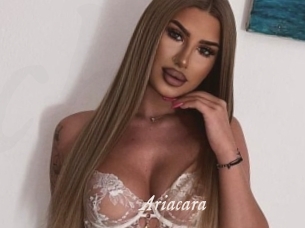 Ariacara