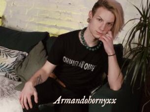 Armandohornyxx