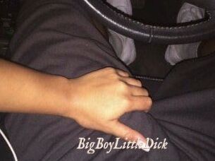 BigBoyLittleDick