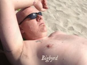 Bigbyrd
