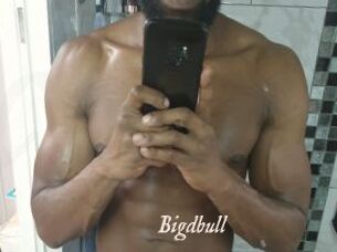 Bigdbull