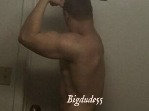 Bigdude55