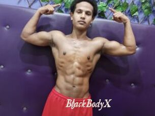 BlackBodyX