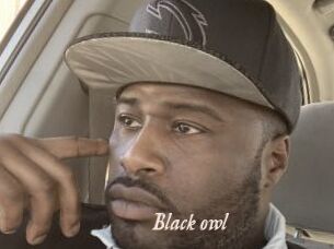 Black_owl