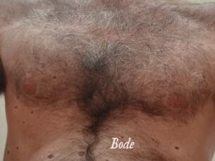 Bode
