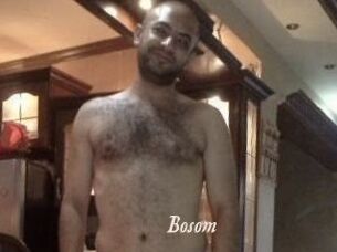 Bosom