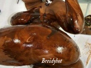 Breidyhot