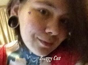Buzzy_Cat