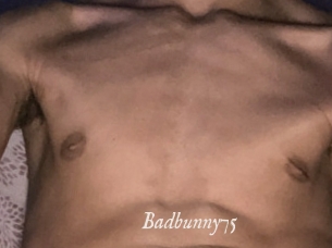 Badbunny75