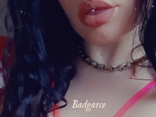 Badgarce