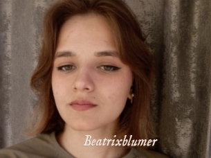 beatrixblumer Chobix 
