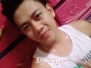 BigCOCK2001