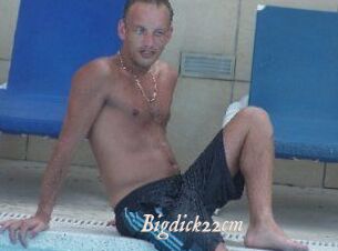 Bigdick22cm