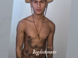 bigdicksnake Chobix 