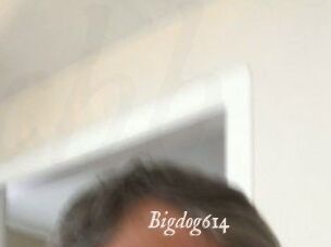 Bigdog614