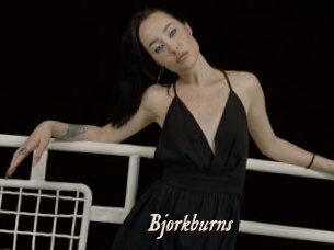 Bjorkburns
