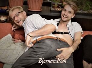 bjornandtom Chobix 
