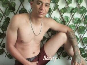Bodsey