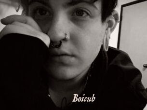 Boicub