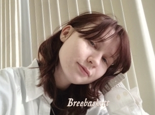 Breebaskett