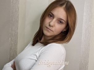 Bridgetatkins
