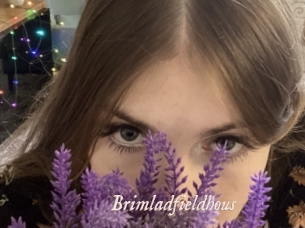 brimladfieldhous Chobix 