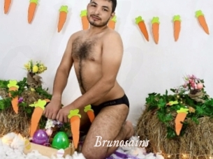 Brunosains