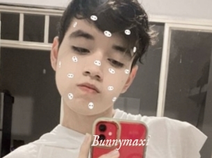Bunnymaxi