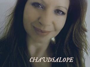 CHAUDSALOPE