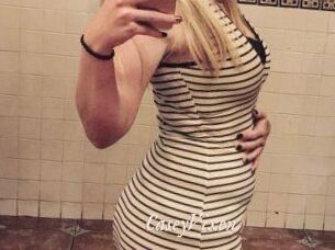 CaseyVixen